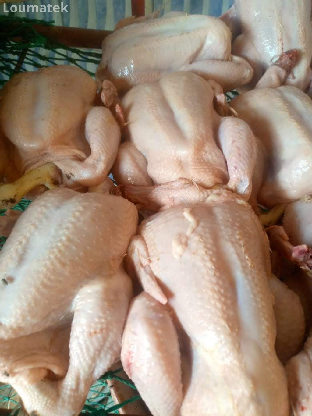 POULET DE CHAIRE